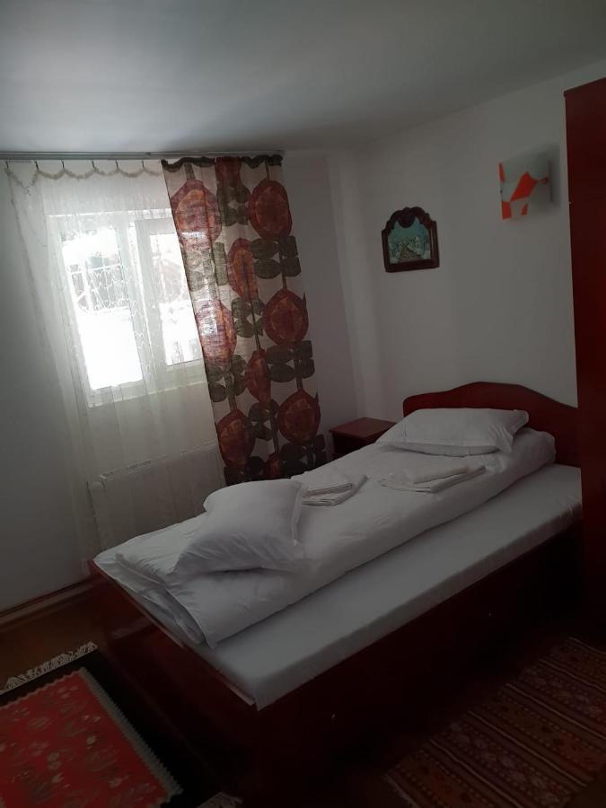 Pensiunea Ardeleanu' Slamnesti Extérieur photo