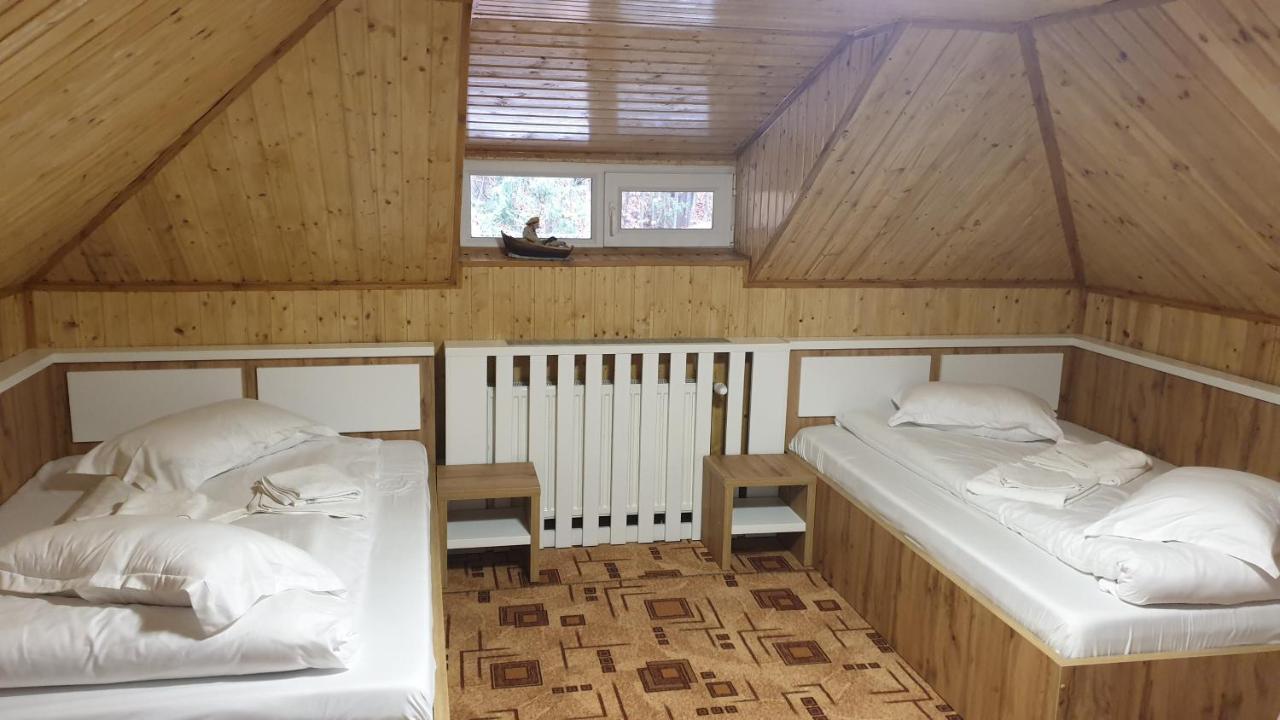 Pensiunea Ardeleanu' Slamnesti Extérieur photo