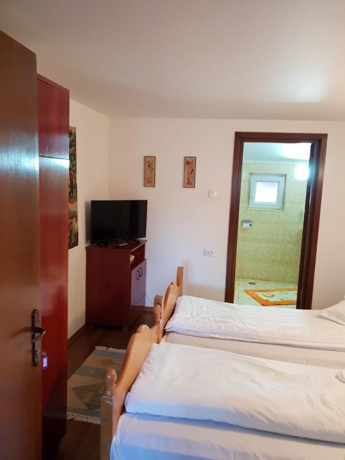 Pensiunea Ardeleanu' Slamnesti Extérieur photo