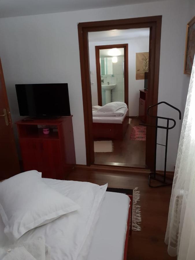 Pensiunea Ardeleanu' Slamnesti Extérieur photo